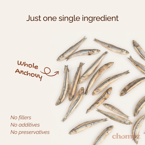 Freeze Dried Anchovy Treats for Cats