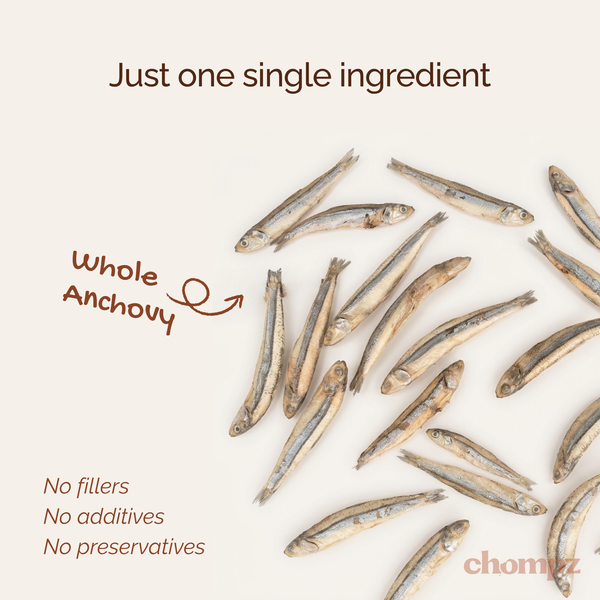 Freeze Dried Anchovy Treats for Cats