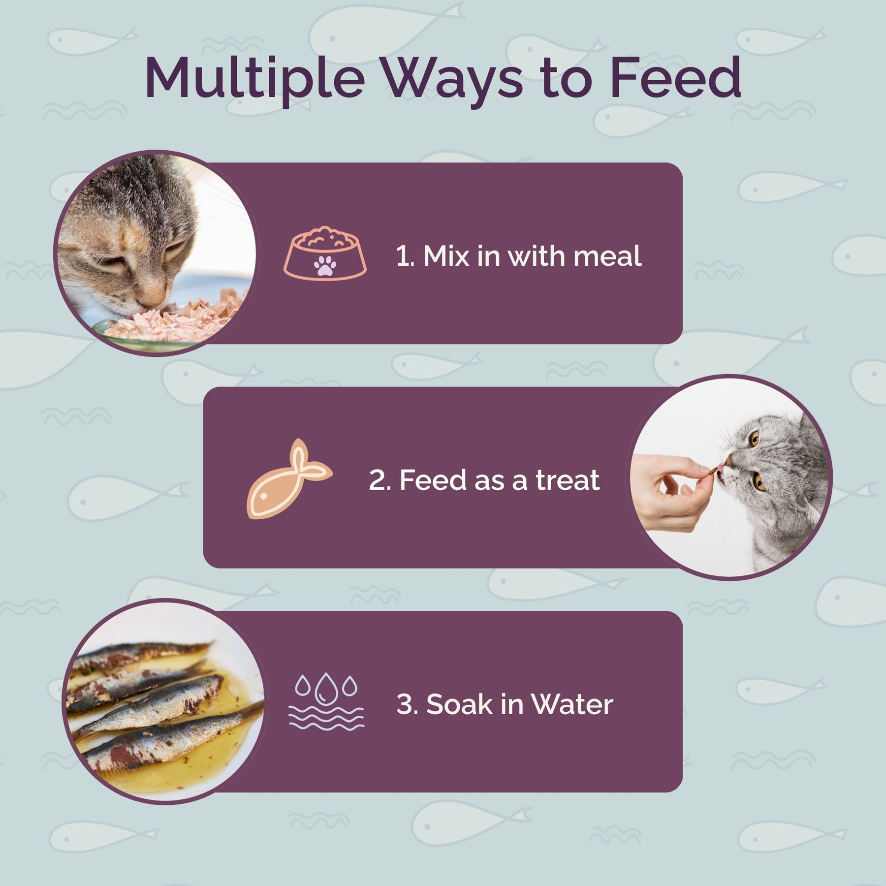 Freeze Dried Anchovy Treats for Cats