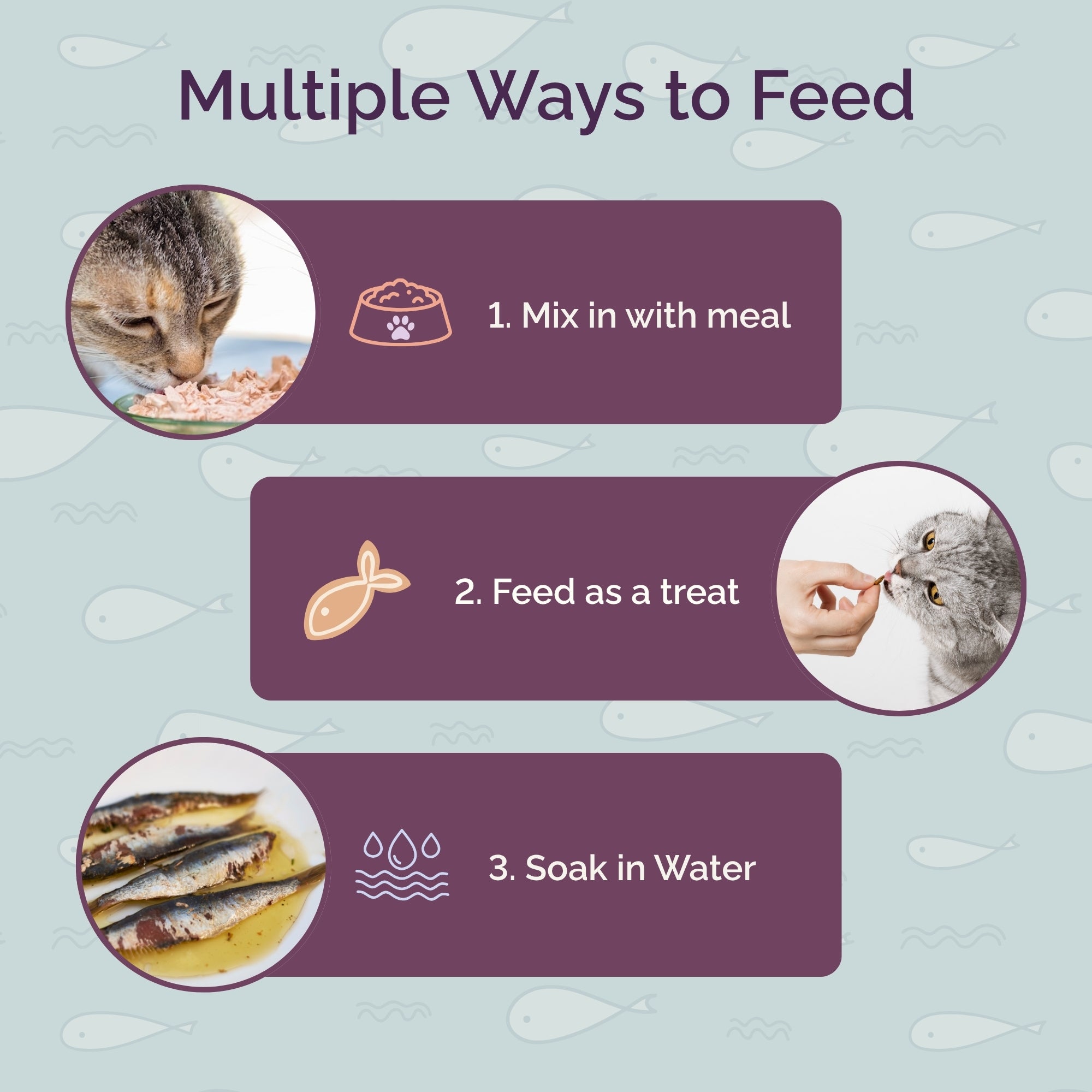 Freeze Dried Anchovy Treats for Cats