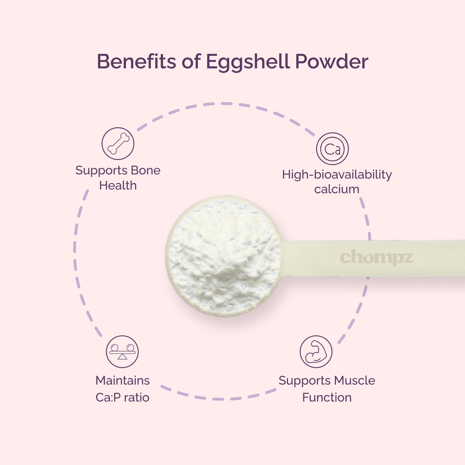 Pure Calcium Eggshell Supplement Powder for Cats