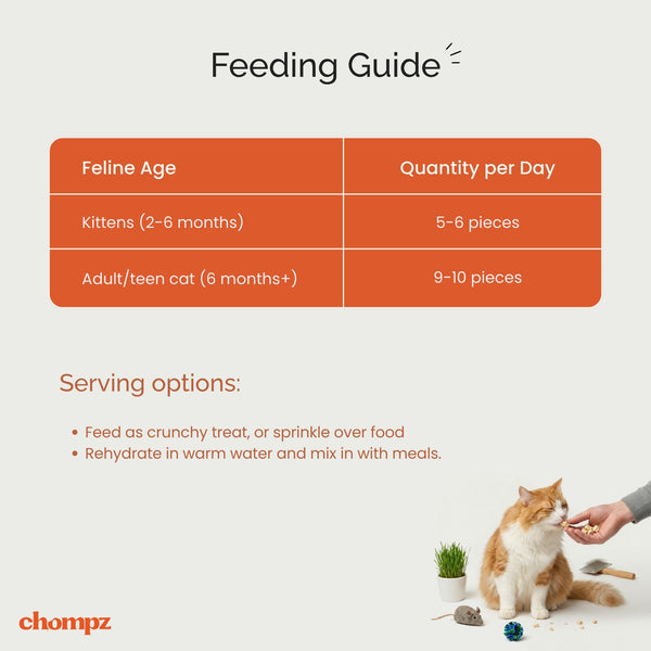 Freeze Dried Chicken Breast Treats for Cats