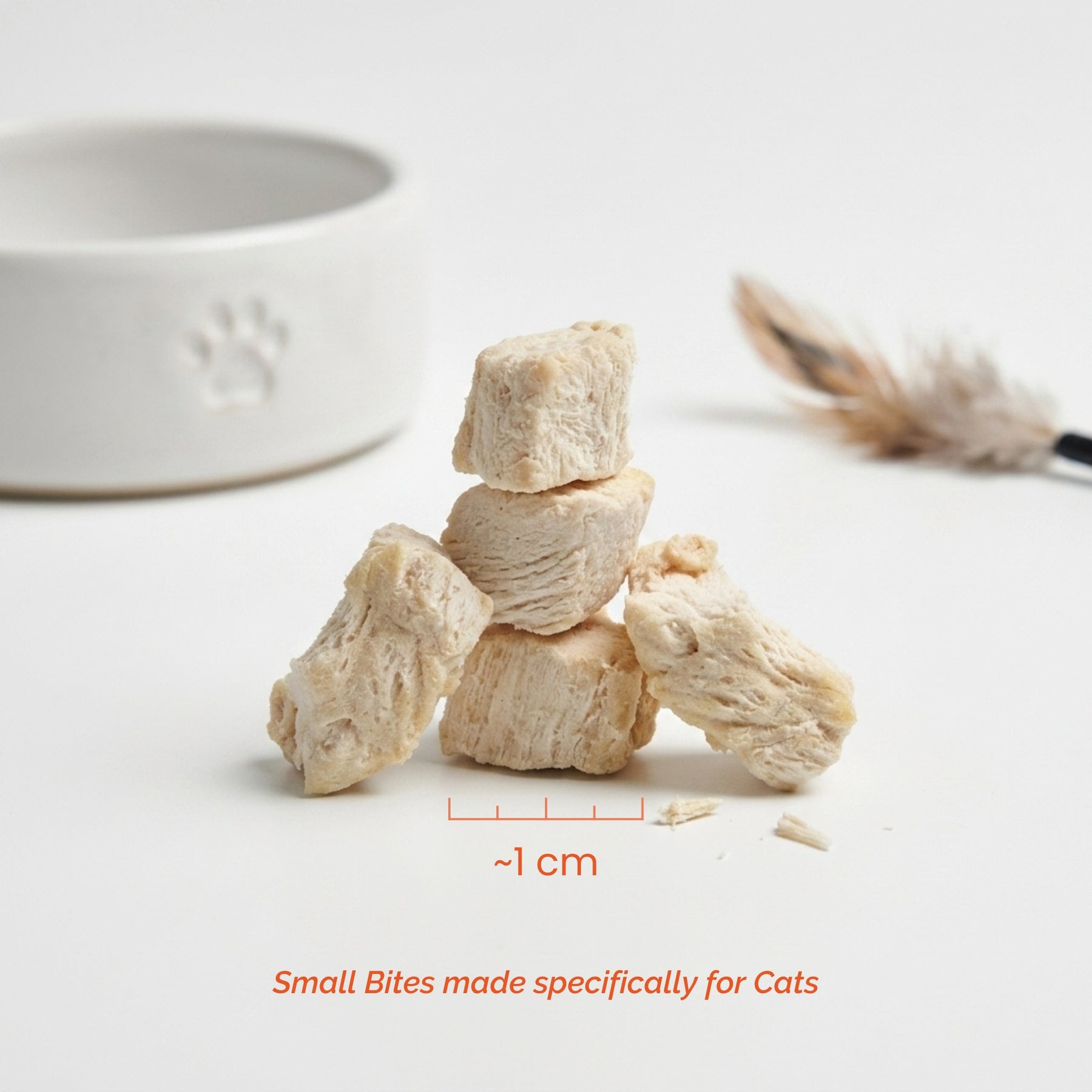 Freeze Dried Chicken Breast Treats for Cats