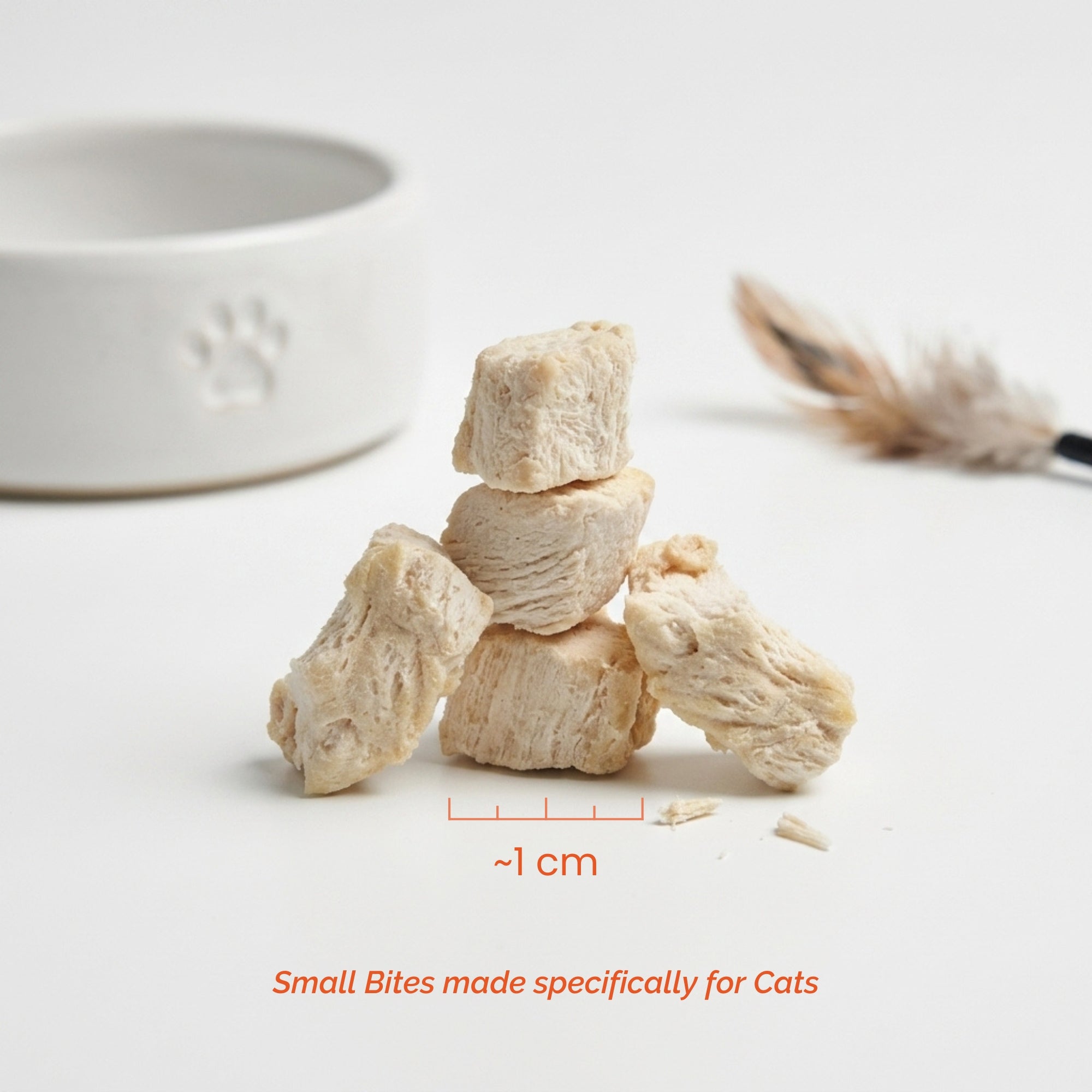 Freeze Dried Chicken Breast Treats for Cats