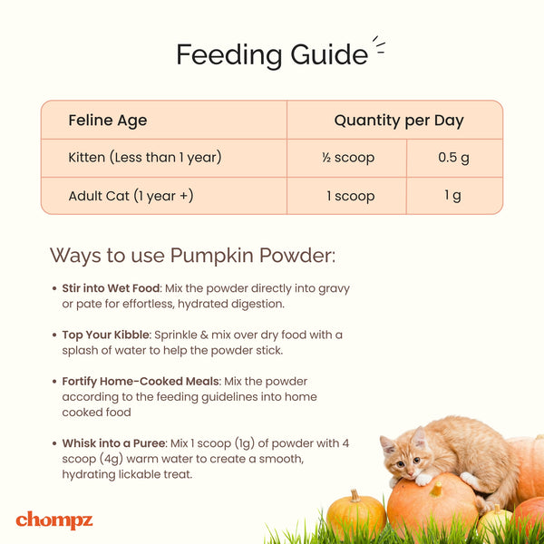 Digestive Support Pumpkin Supplement Powder for Cats