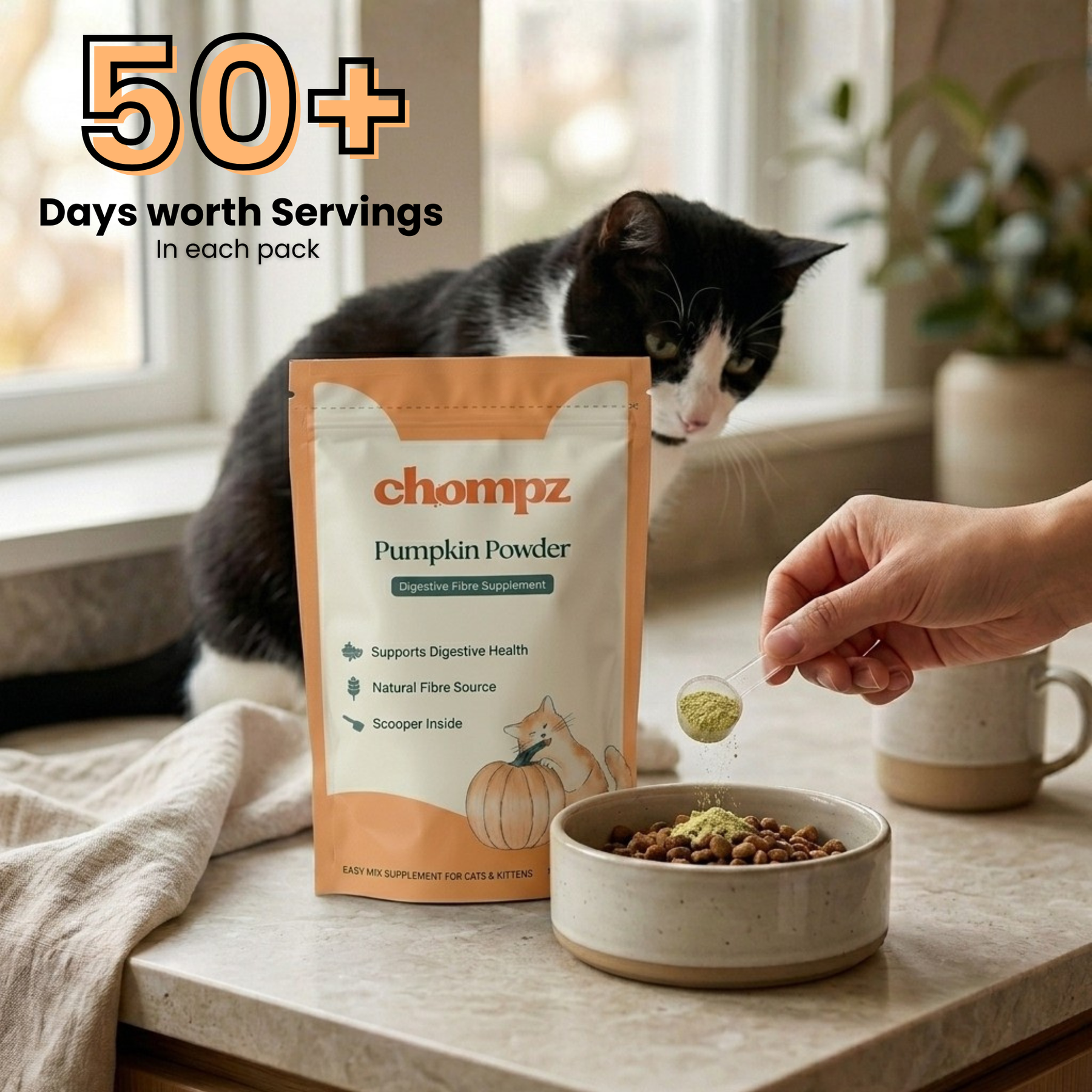Digestive Support Pumpkin Supplement Powder for Cats