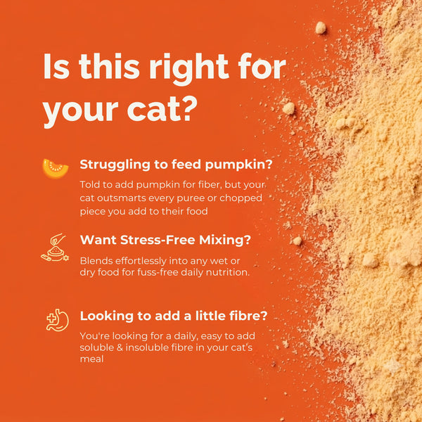 Digestive Support Pumpkin Supplement Powder for Cats