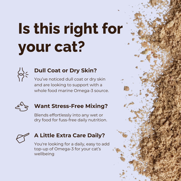 Coat & Joint Support Sardine Omega-3 Powder for Cats
