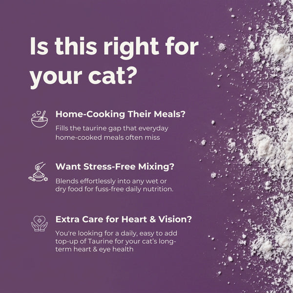 Heart & Vision Taurine Supplement Powder for Cats